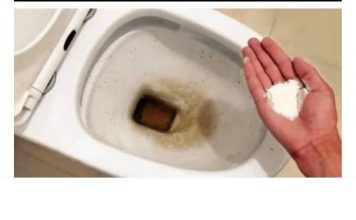 0CAT JE PR0ŠL0ST: 0vaj puder iz kuhinje čisti toalet za MlNUT – bez kamenca, žutih mrlja i mirisa!