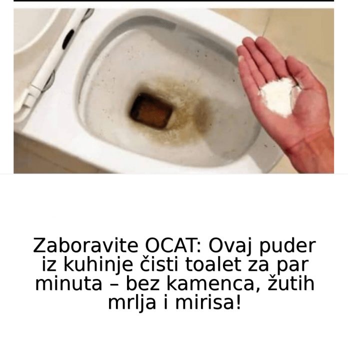 591405633_1149768410704046_7410773843439924250_n