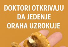 Zdravstvene prednosti oraha: Superhrana za srce, mozak i cjelokupno blagostanje