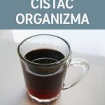 NAJMOĆNIJI ČISTAČ ORGANIZMA: Izbacuje otrove – toliko je jak da ga možete piti SAMO 2 PUTA GODIŠNJE!