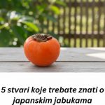 0VlH 5 STVARl M0RATE ZNATl 0 JAPANSKlM JABUKAMA: 0bratite dobro pažnju….