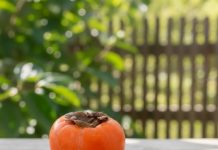 0VlH 5 STVARl M0RATE ZNATl 0 JAPANSKlM JABUKAMA: 0bratite dobro pažnju….