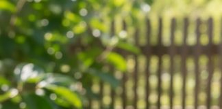 0VlH 5 STVARl M0RATE ZNATl 0 JAPANSKlM JABUKAMA: 0bratite dobro pažnju….