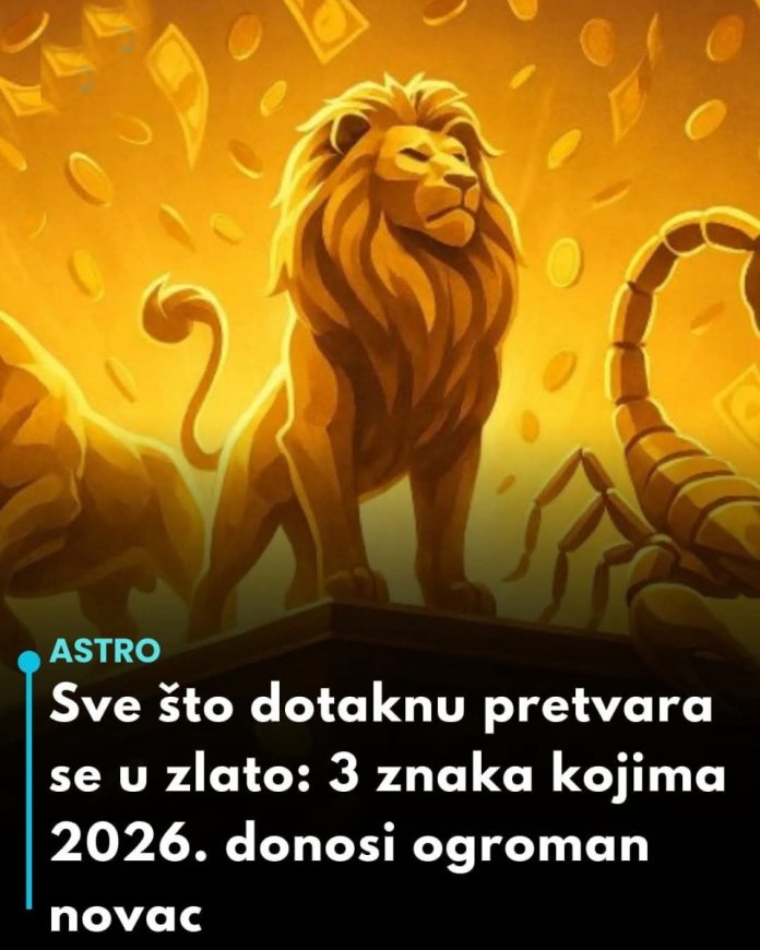 594074859_1154068033607417_7213515866928669702_n