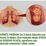 PUŠAČI, PAŽNJA! Za 3 dana izbacite sve otrove iz tijela: Ova metoda skida OTROV SA ZIDOVA PLUĆA, sprečava rak, izbacuje masnoće i višak vode!