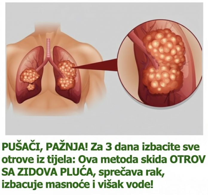 594314173_1175407121359898_6412853729695737103_n