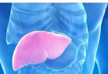 Hepatolog tvrdi da jedno voće obnavlja jetru za 7 dana! EV0 K0JE V0ĆE JE U PITANJU….