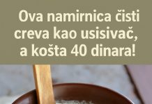 Ova namirnica čisti creva kao usisivač, a košta 40 dinara: Olakšava probavu i varene, utiče i na mršavljenje