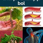 🌿 Čaj od maslačka: Nježna prirodna tajna za svakodnevno blagostanje