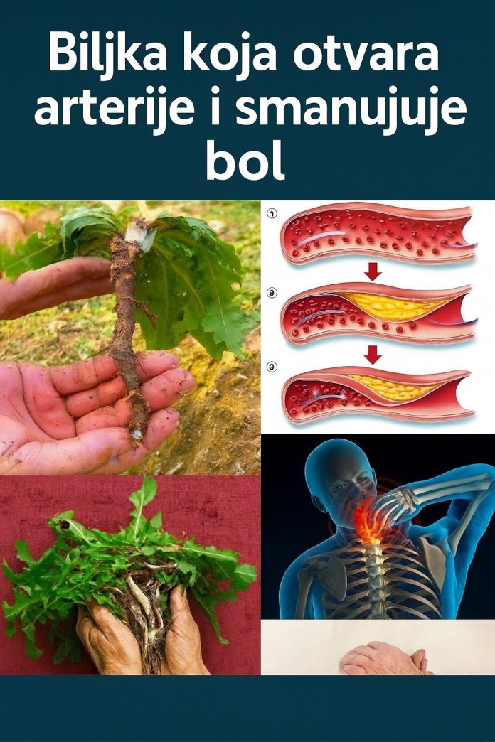 595735777_1172372621663348_1792158730961249330_n