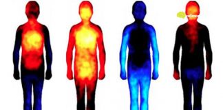 9 vrsta boli koje su izravno povezane s psihom: Bol u ramenu – teški emotivni teret!