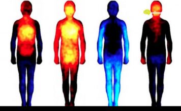 9 vrsta boli koje su izravno povezane s psihom: Bol u ramenu – teški emotivni teret!