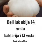 🧄 Bijeli luk ubija 14 vrsta bakterija: Prirodni “antibiotik” o kojem biste trebali znati
