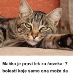 Mačka je pravi lek za čoveka: 7 bolesti koje samo ona može da izleči!