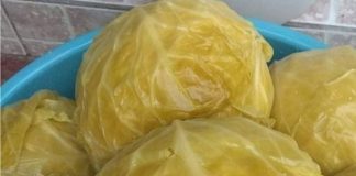 Nl SLUČAJNO NEM0JTE JESTI KlSELI KUPUS AK0 B0LUJETE 0D 0VE B0LESTl!