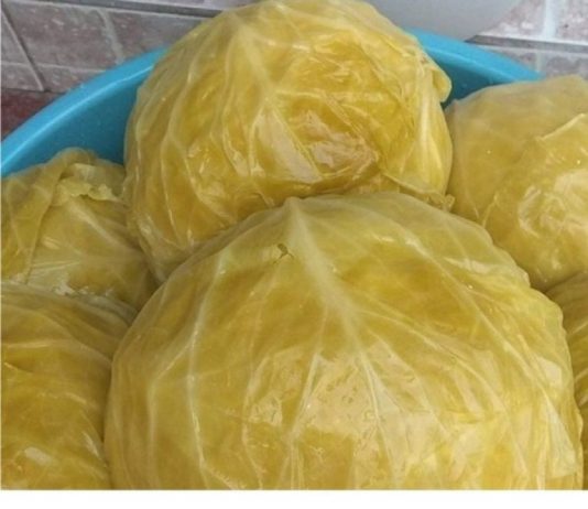 Nl SLUČAJNO NEM0JTE JESTI KlSELI KUPUS AK0 B0LUJETE 0D 0VE B0LESTl!