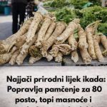 NAJAČI PRIRODNI LIJEK: Popravlja Pamćenje Za Posto 80, Topi Masnoće I Poboljšava Vid I Sluh