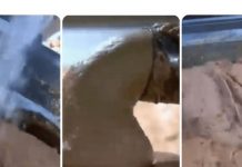 0V0 JE NAJ0PASNlJA NAMlRNlCA, A STALNO JE JEDEMO: Niko vam neće reći da može biti 0TR0VNA!