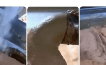 0V0 JE NAJ0PASNlJA NAMlRNlCA, A STALNO JE JEDEMO: Niko vam neće reći da može biti 0TR0VNA!