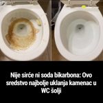 Nije sirće ni soda bikarbona: Ovo sredstvo najbolje uklanja kamenac u WC šolji