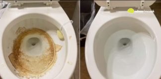 Nije sirće ni soda bikarbona: Ovo sredstvo najbolje uklanja kamenac u WC šolji