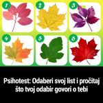 Psihotest: Odaberi svoj list i pročitaj što tvoj odabir govori o tebi