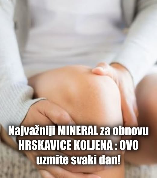 600943474_1434780321344252_912971080533334976_n