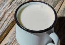 Ne postoji zdravije mlijeko od kozijeg – Evo zašto ga čak i doktori preporučuju!