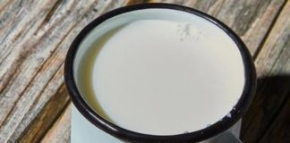 Ne postoji zdravije mlijeko od kozijeg – Evo zašto ga čak i doktori preporučuju!