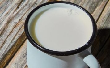 Ne postoji zdravije mlijeko od kozijeg – Evo zašto ga čak i doktori preporučuju!