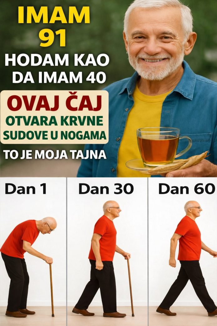 603875157_1185450680355542_81252676153417523_n