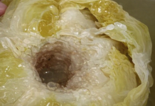 DOKTORI UPOZORILI: Ne jedite kiseli kupus ako bolujete od ovih bolesti