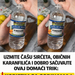 Uzmite čašu sirćeta, običnih karanfilića i dobro sačuvajte ovaj domaći trik: KORISTIM GA GODINAMA I PREPORUČUJEM SVIMA!