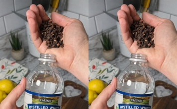 Uzmite čašu sirćeta, običnih karanfilića i dobro sačuvajte ovaj domaći trik: KORISTIM GA GODINAMA I PREPORUČUJEM SVIMA!