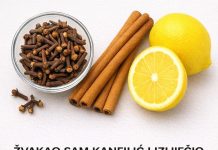 Čaj od klinčića, cimeta i limuna za bolje zdravlje: Recept i priprema