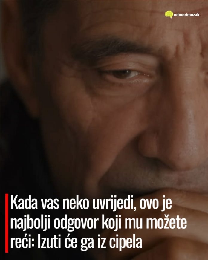 608523947_1185583900356114_2790400958409835603_n