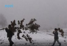 Šta znači ako pada snijeg na Božić: Kakva nas godina čeka?