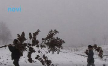 Šta znači ako pada snijeg na Božić: Kakva nas godina čeka?