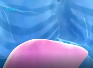 Hepatolog tvrdi da jedno voće obnavlja jetru za 7 dana, a sve zbog ovog enzima