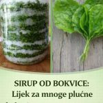 Sirup od bokvice za pluća, kašalj i sluz u disajnim putevima