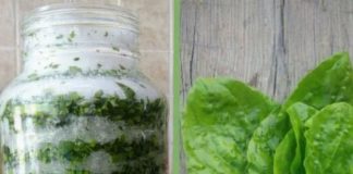 Sirup od bokvice – prirodni lijek za pluća, kašalj i sluz u disajnim putevima