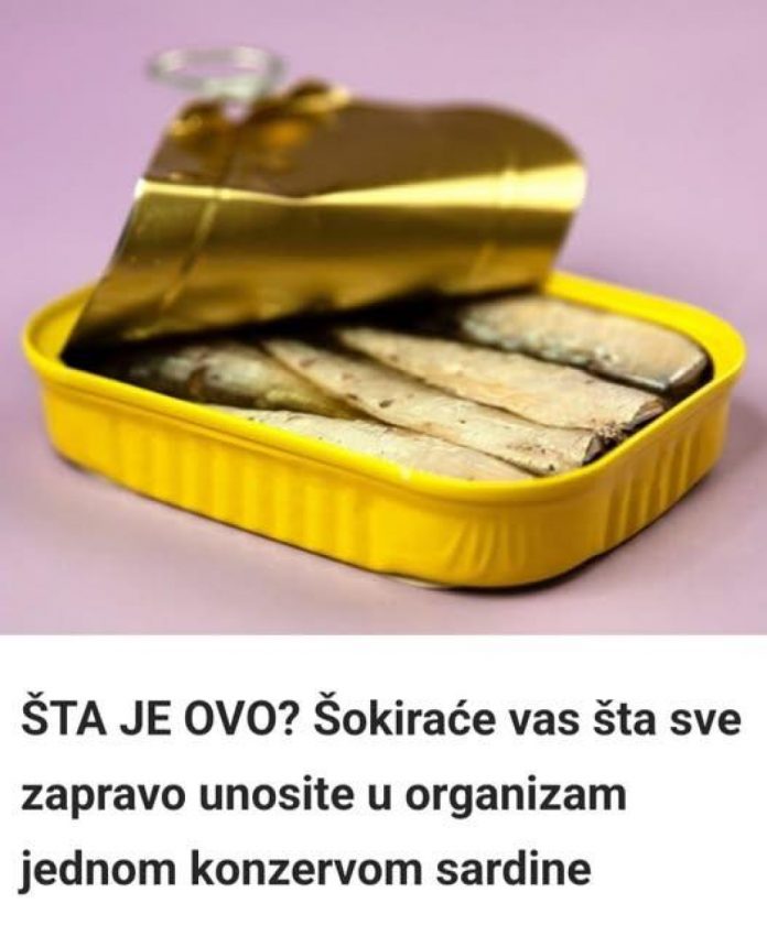 617138832_1186809696999917_6249313764313746746_n