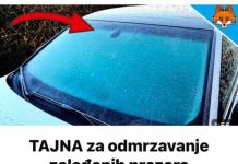 TAJNA za odmrzavanje zaleđenih prozora automobila u SEKUNDI….