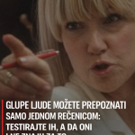 GLUPE LJUDE MOŽETE PREPOZNATI SAMO JEDNOM REČENICOM: Testirajte ih, a da oni i ne znaju za to