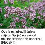 0V0 je najzdraviji čaj na svijetu: Sprječava sve 0D obične prehlade D0 kancera!