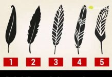 Psihološki test: Izaberite jedno pero i otkrijte najjače crte vašeg karaktera i skrivenu unutrašnju moć