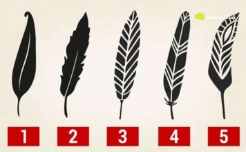 Psihološki test: Izaberite jedno pero i otkrijte najjače crte vašeg karaktera i skrivenu unutrašnju moć