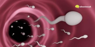 Pet stvari ukazuje da je muškarac neplodan – evo koje