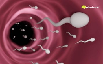 Pet stvari ukazuje da je muškarac neplodan – evo koje