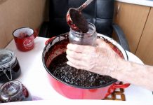 Prirodni voćni namaz koji može podržati zdravu probavu